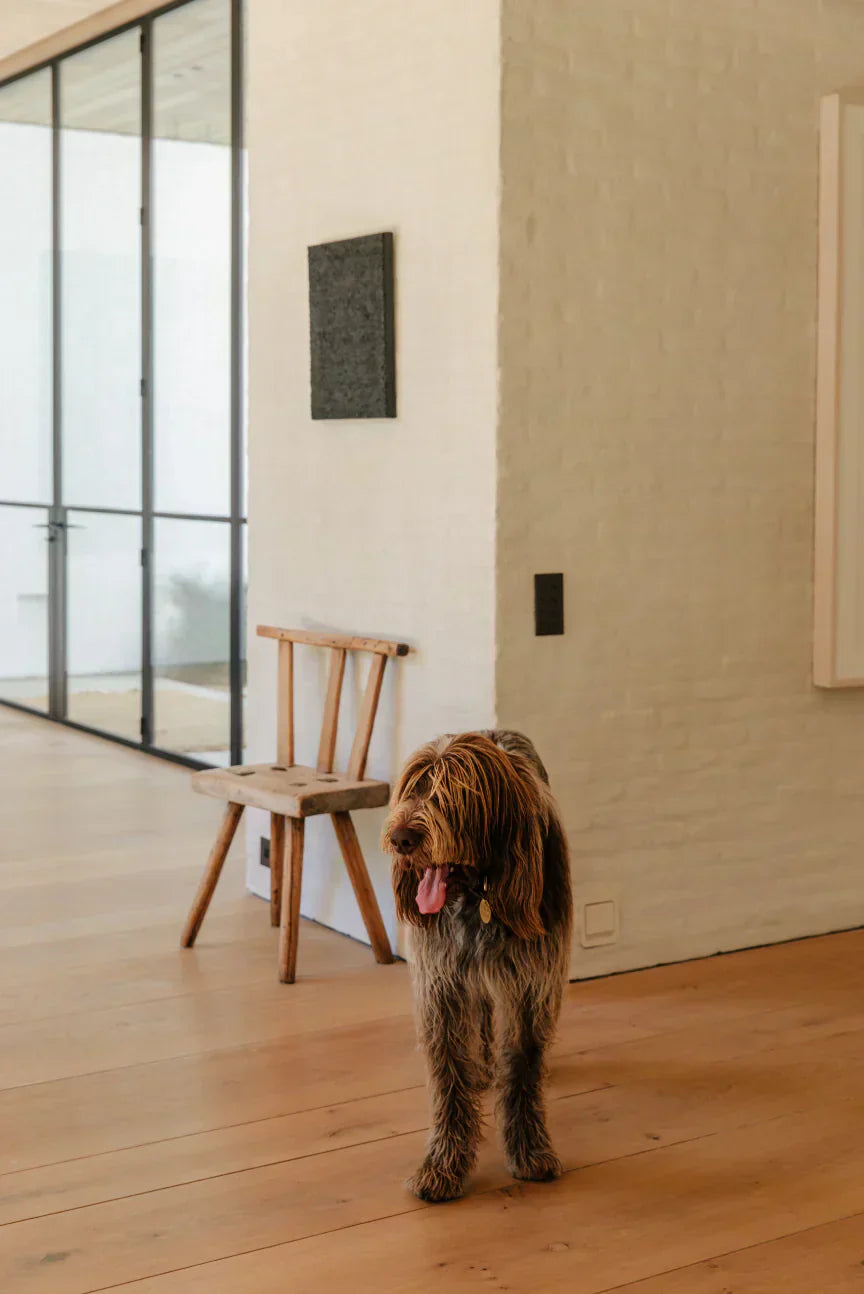 https://www.maykerinteriors.com/blogs/design-capsules/pet-friendly-interior-design-tips-for-a-beautiful-functional-home