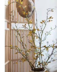 Long Weigela Flower Stem 63" Tall: White / Five Stems
