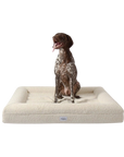 Boucle Dog Bed (White, Large)