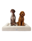 Boucle Dog Bed (White, Large)
