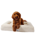 Boucle Dog Bed (White, Medium)