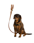 Hugo Dog Leash (Cognac)