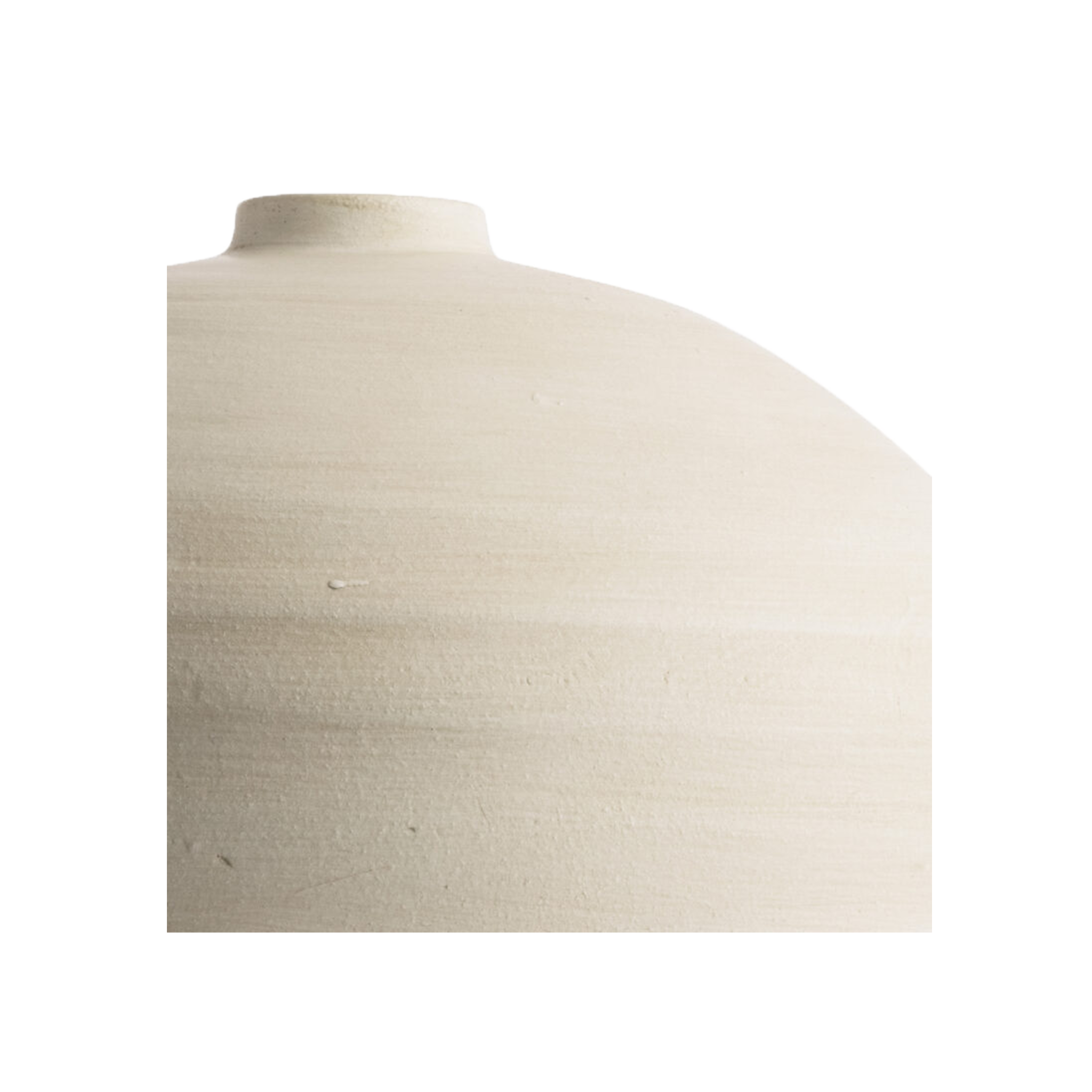 Pet Store Nashville In Pet Store Nashville In