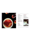 Death & Co: Modern Classic Cocktails