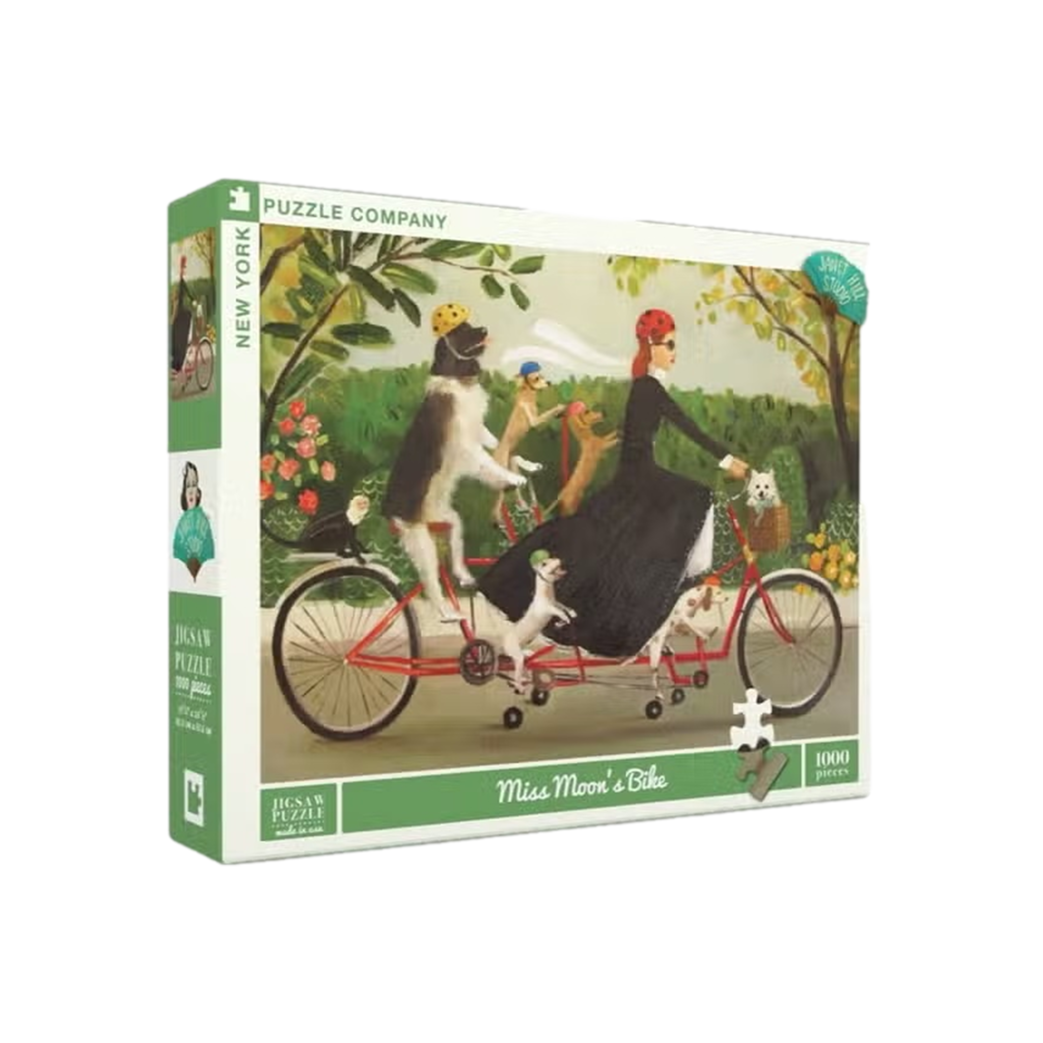 Miss Moon's Bike Puzzle
