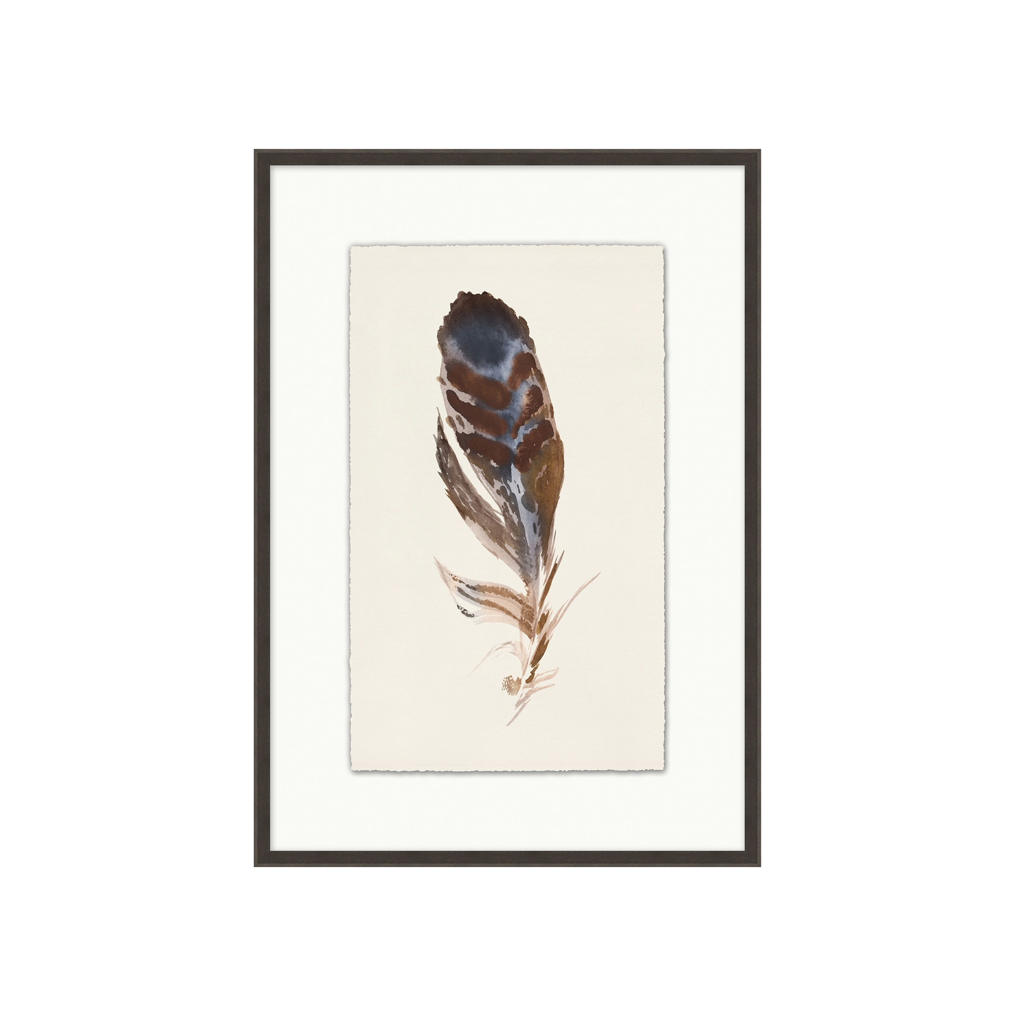 "Watercolor Feather 1" Artwork