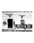 West: The American Cowboy