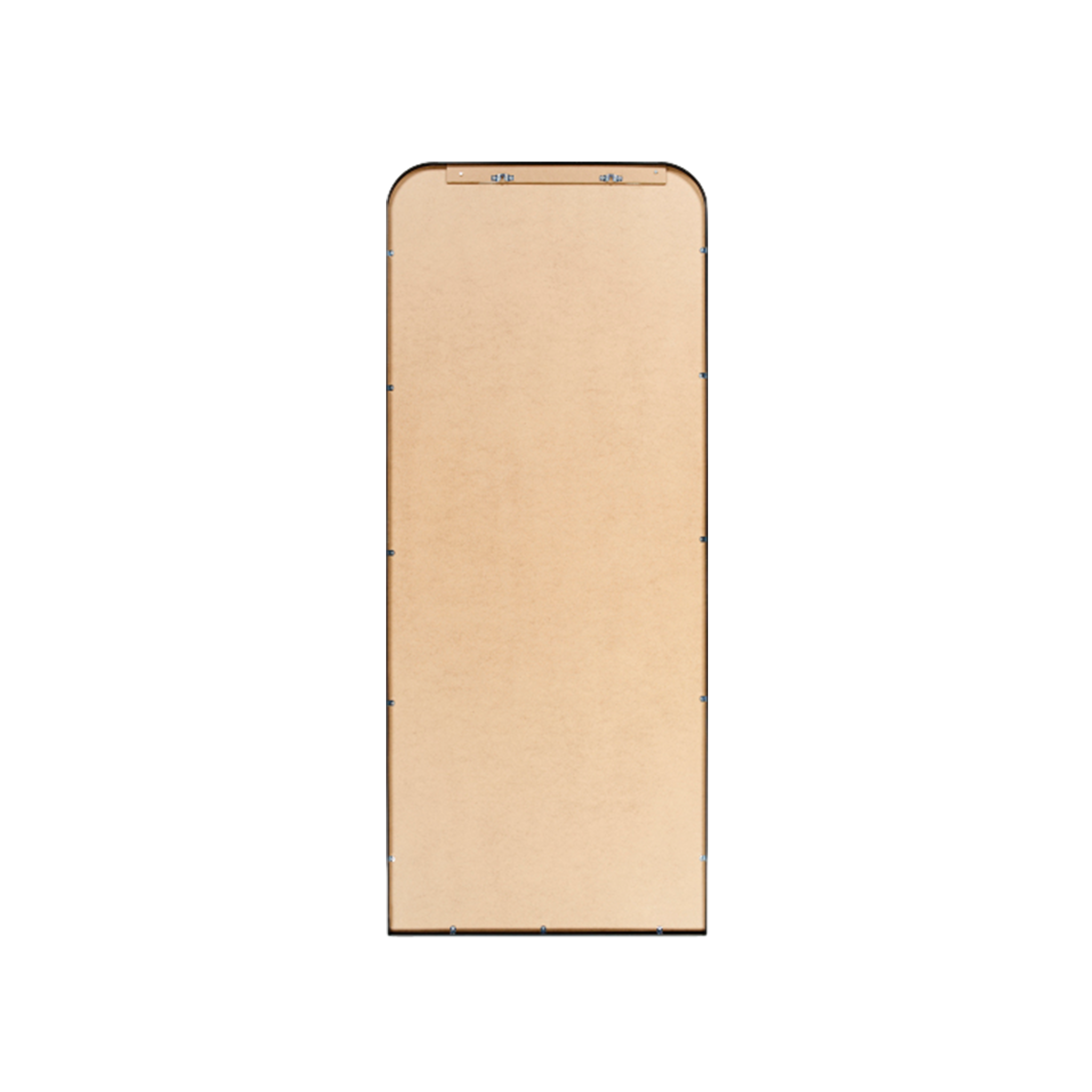 Aranya Floor Mirror in Black