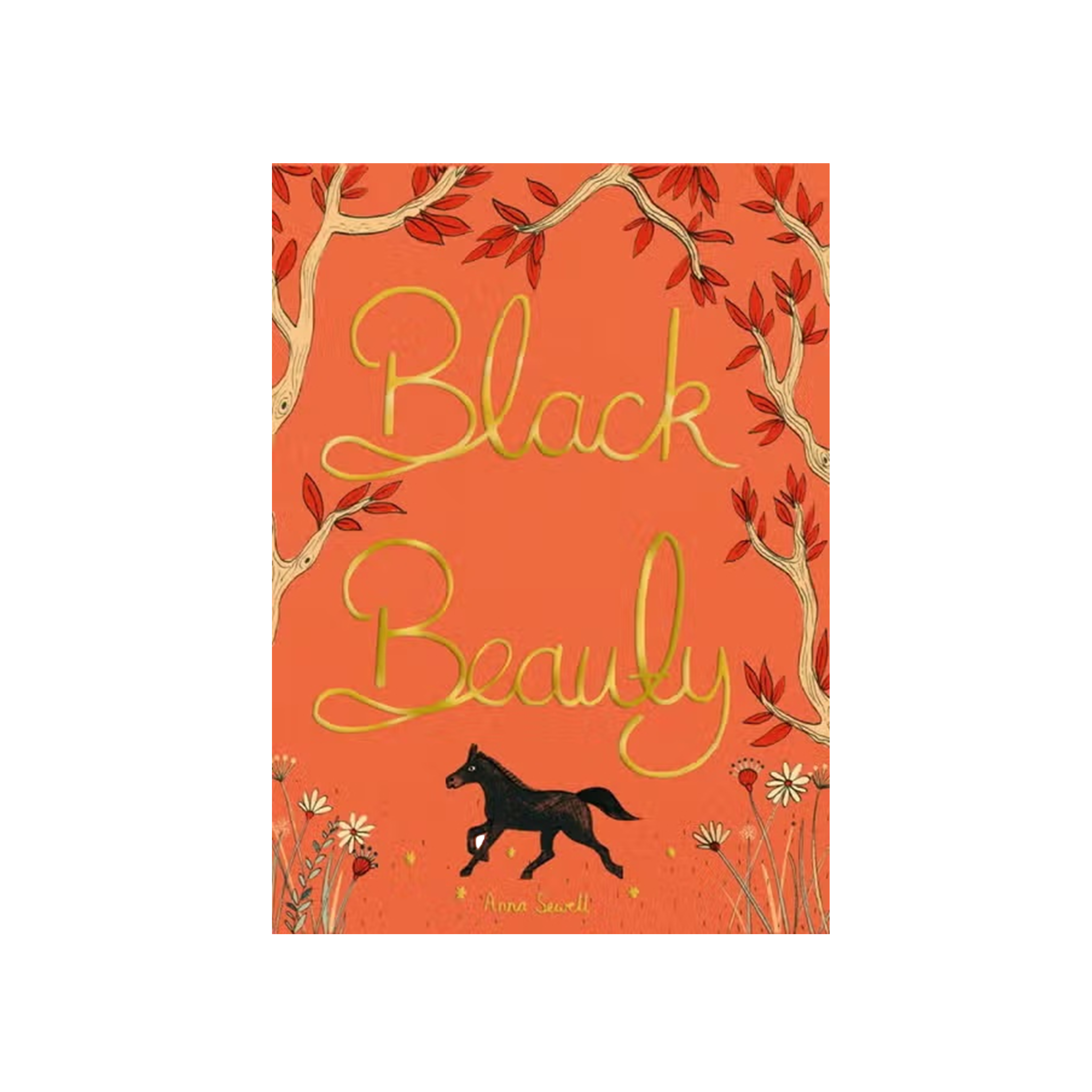 Black Beauty