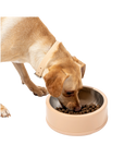 Pet Bowl (Tan)