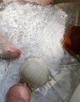 Animal Mold Free Bath Toy Set