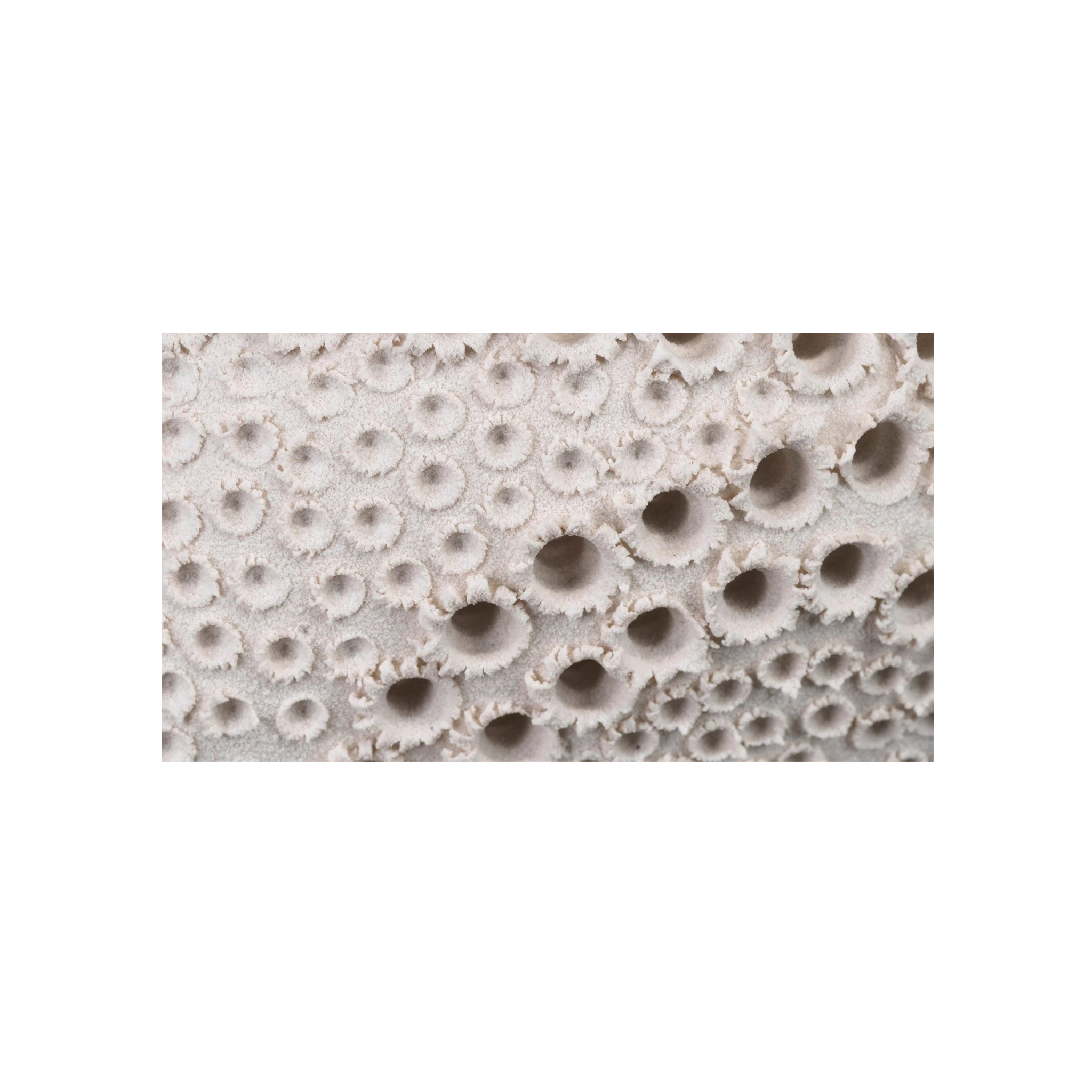 Night Sky Vase (White)