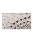 Night Sky Vase (White)