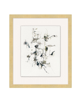 "Hint of Nature" Artwork