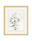"Hint of Nature" Artwork