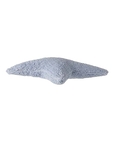 Cushion Star (Blue)