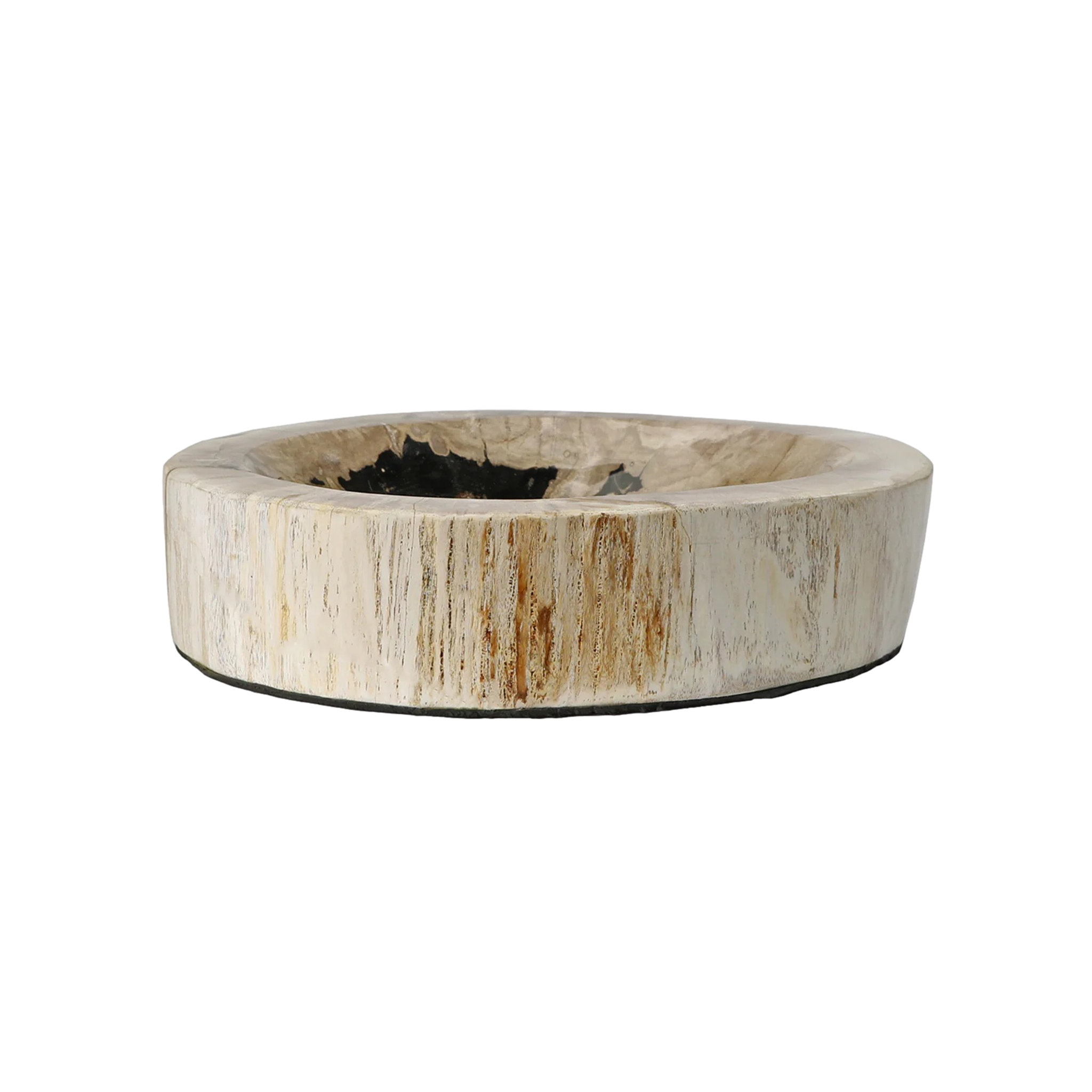 Petrified Wood Bowl