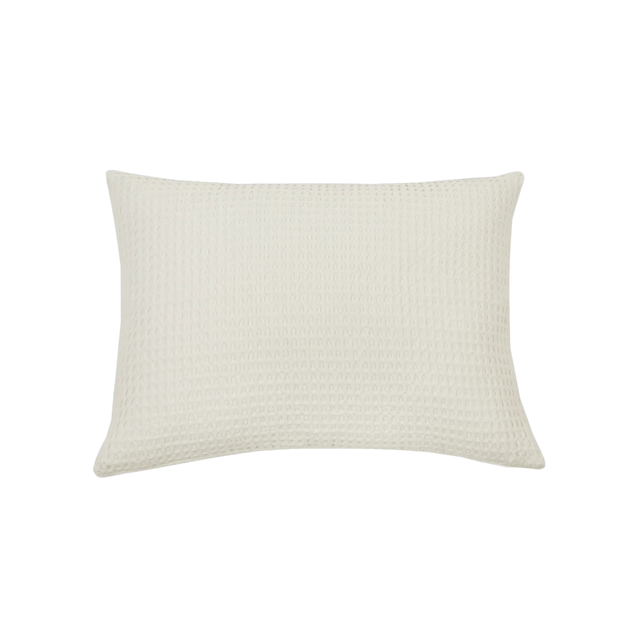 Zuma Big Pillow in Cream