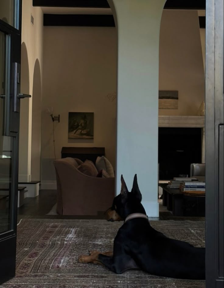 Close-up of durable luxury vinyl plank flooring in a warm wood finish, paired with a washable area rug, demonstrating a stylish and practical foundation for pet-friendly living spaces.