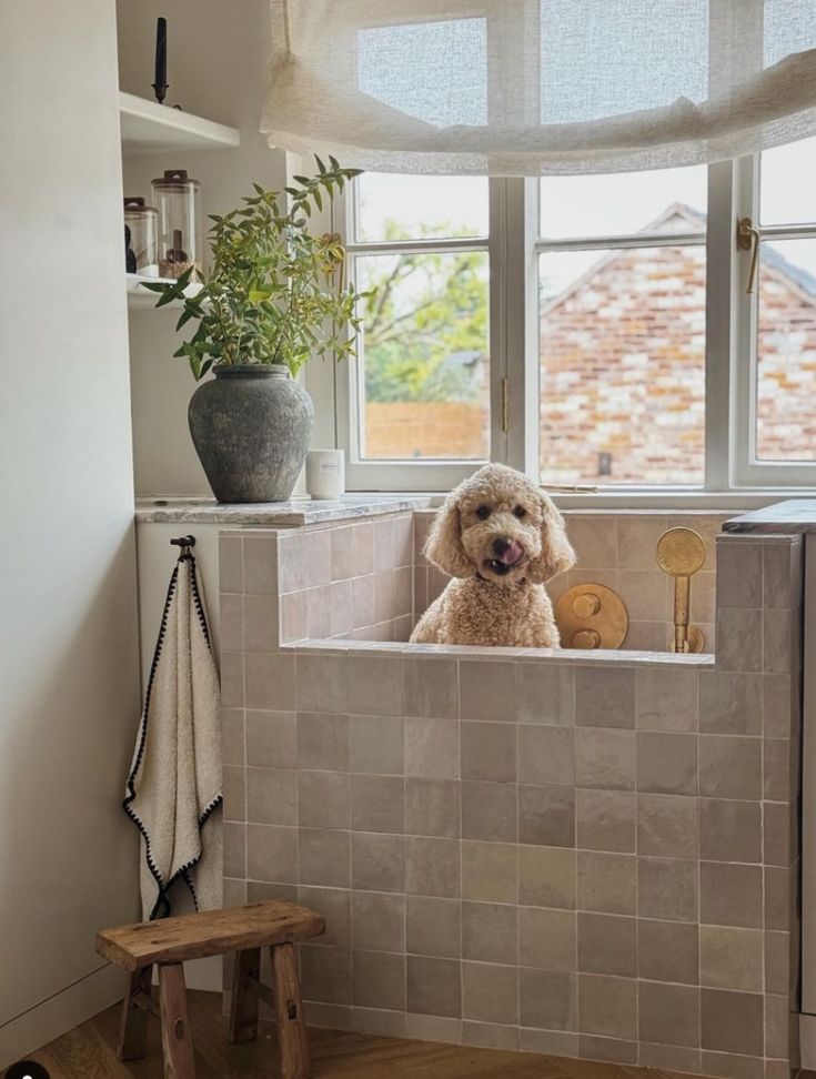 A functional mudroom featuring a pet bathing station, wall-mounted hooks holding towels, and open shelving designed to manage the hustle of daily comings and goings with pets.