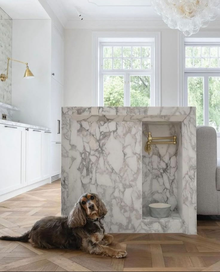 Built-in feeding station in a kitchen island, seamlessly blending into the home's architecture to create a dedicated yet discreet space for a furry family member.