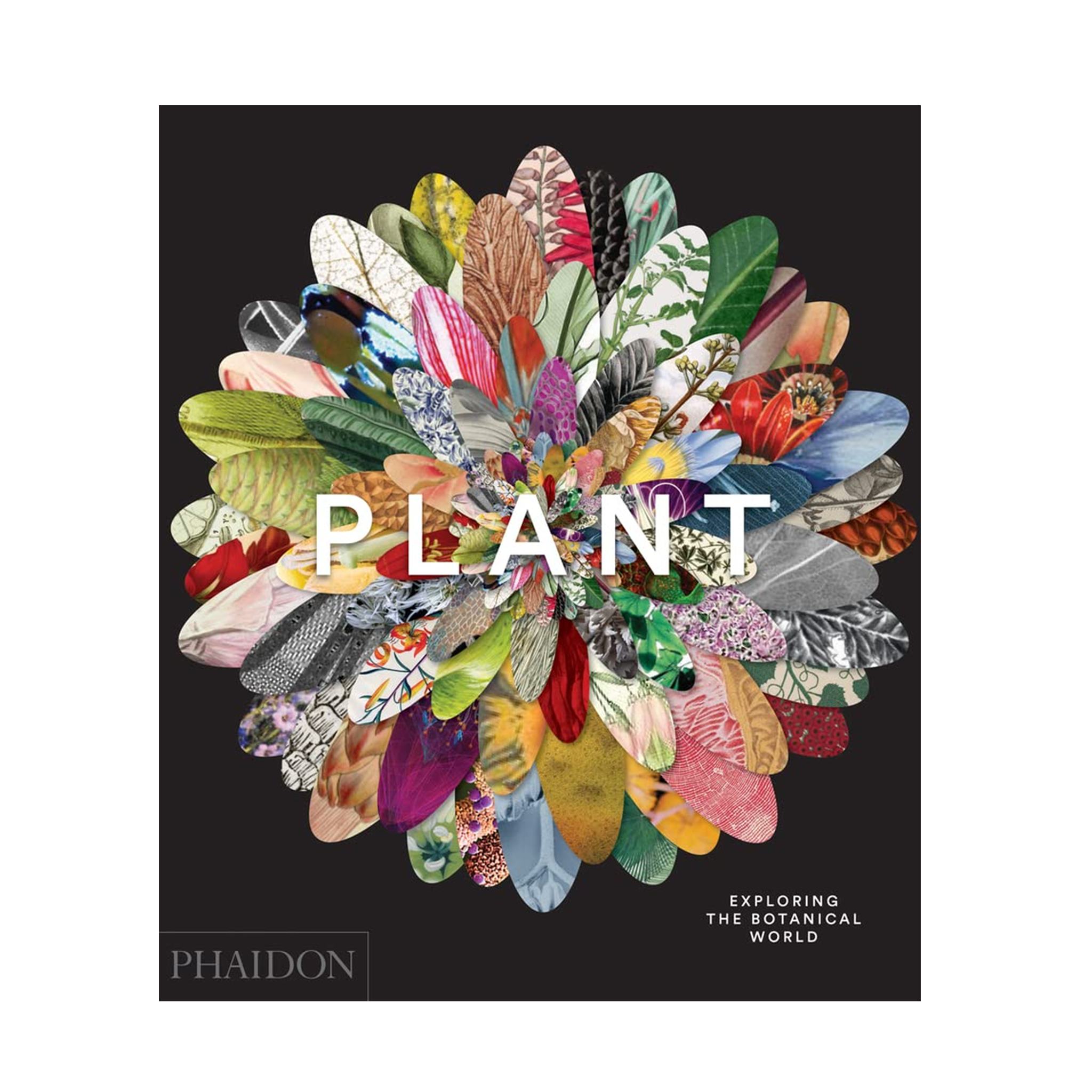 Plant: Exploring the Botanical World