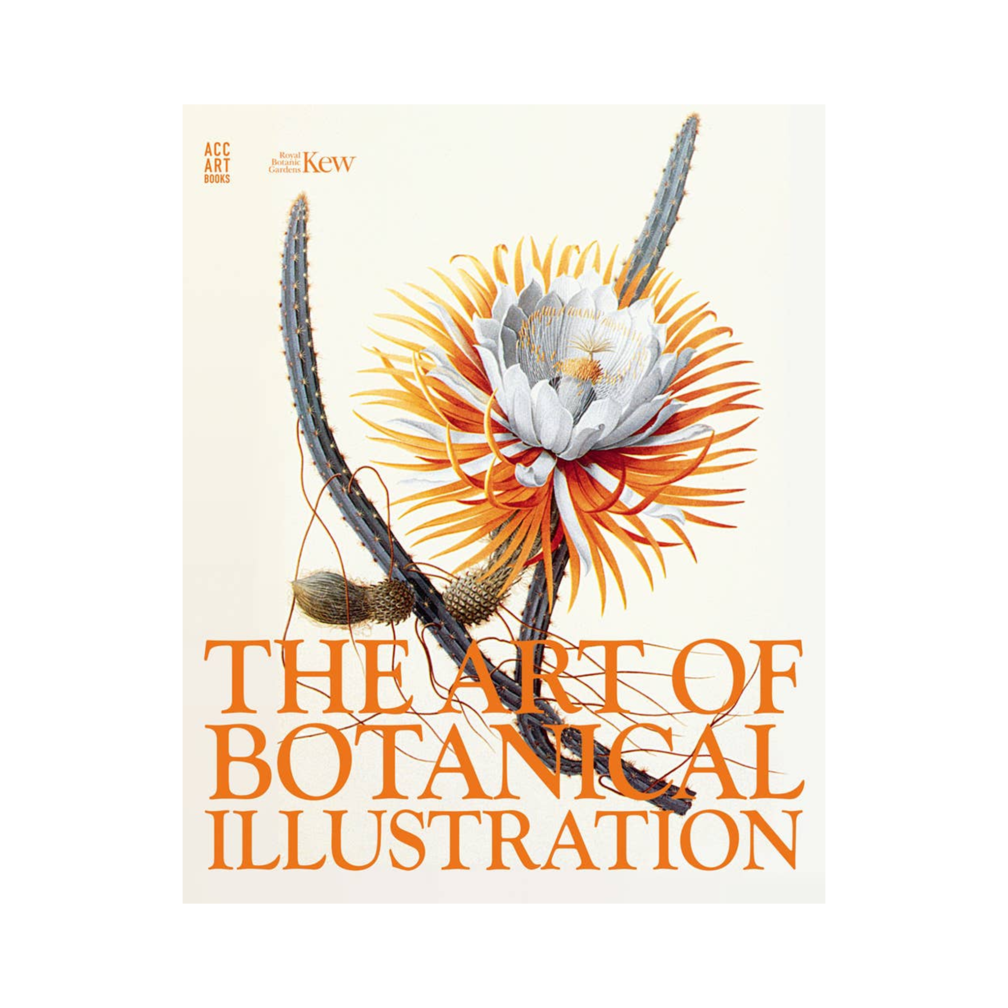 The Art of Botanical Illustration