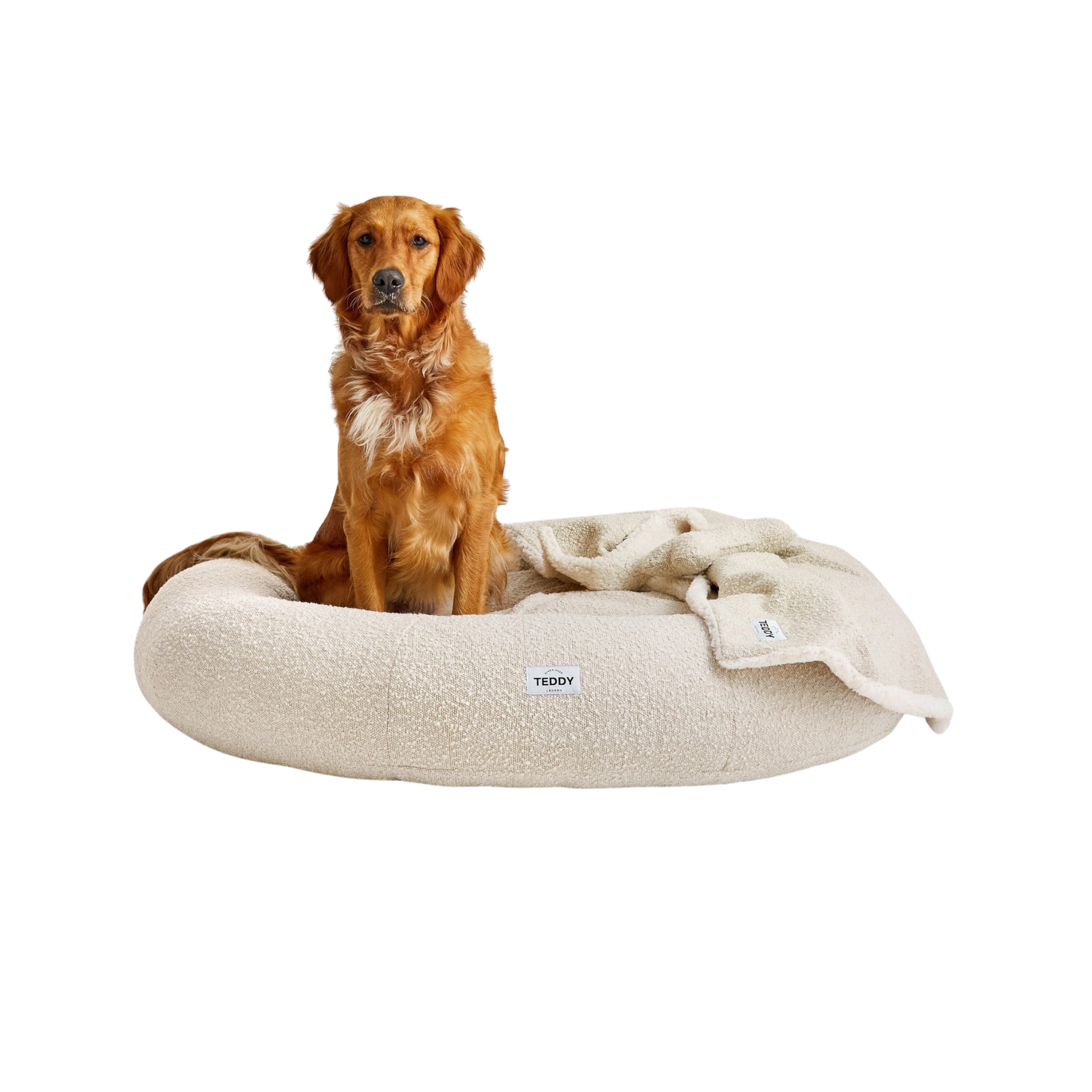 Round Boucle Dog Bed (White, Large)