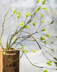 Artificial Plant Green Leaf Rattan Stem 37" Tall: Five Stems