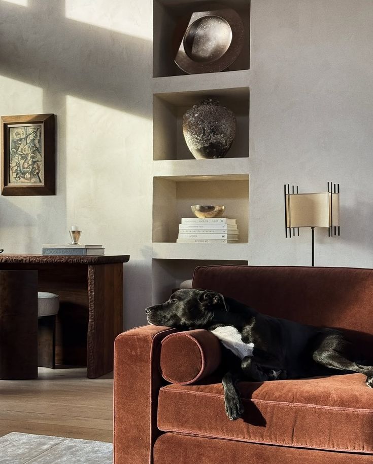 A chic living area showcasing a mid-tone performance fabric sofa, accented with textured throw pillows, and a dog nestled comfortably, illustrating the fusion of durability and comfort in pet-friendly upholstery choices.