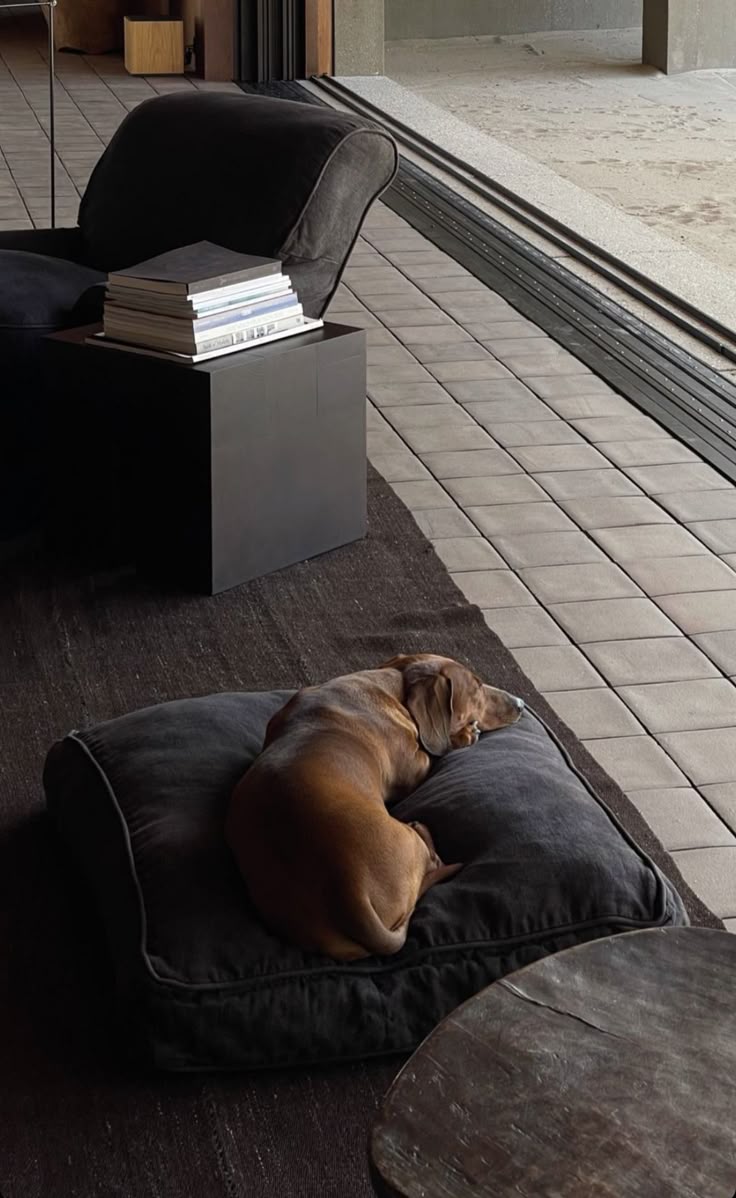 A modern living room corner displaying a sculptural dog bed in neutral tones, a handcrafted ceramic water bowl, and minimalist pet-themed artwork, integrating pet elements as stylish decor.