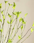 Artificial Plant Green Leaf Rattan Stem 37" Tall: Five Stems
