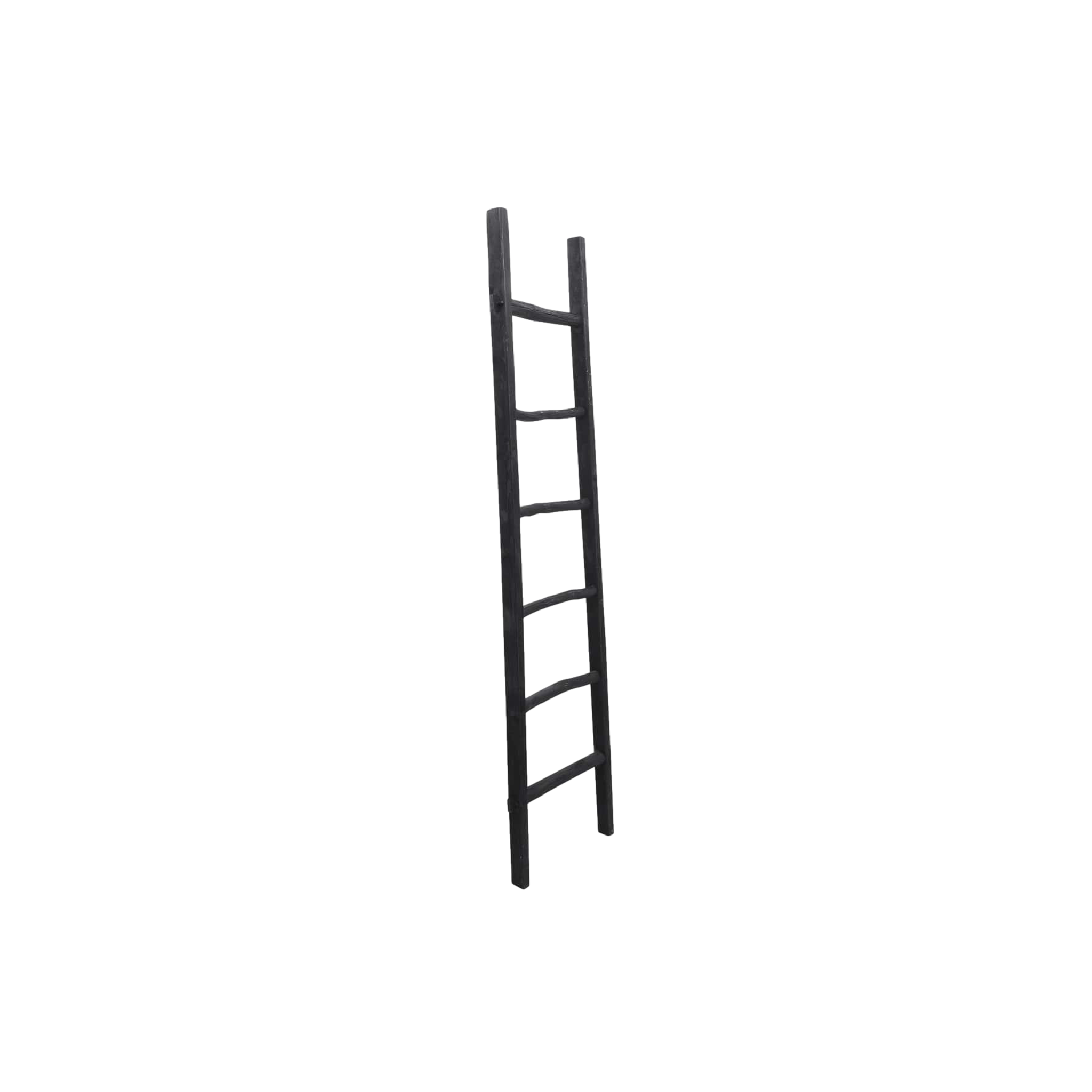 76&quot; Black Ladder