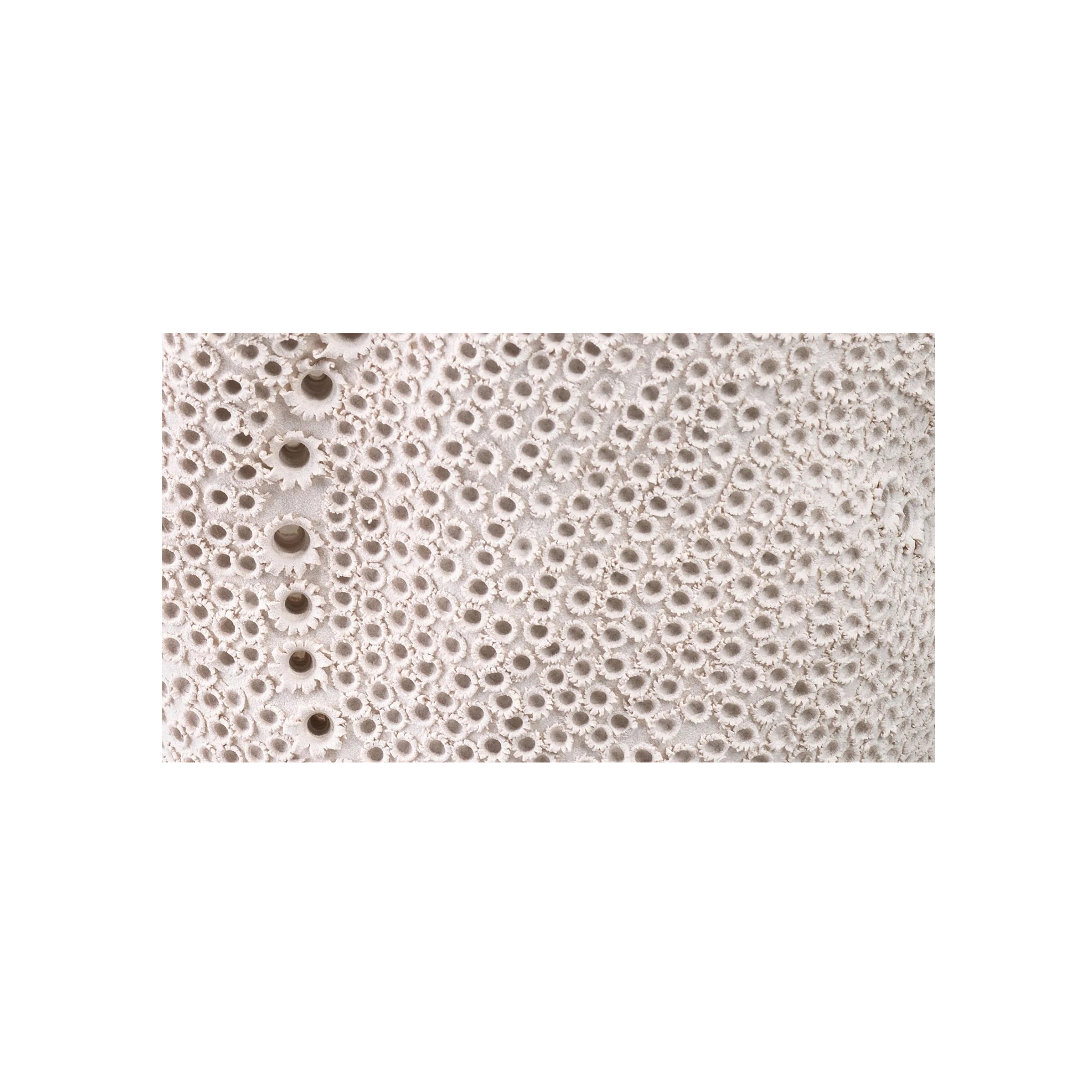 Eclipse Vase (White)