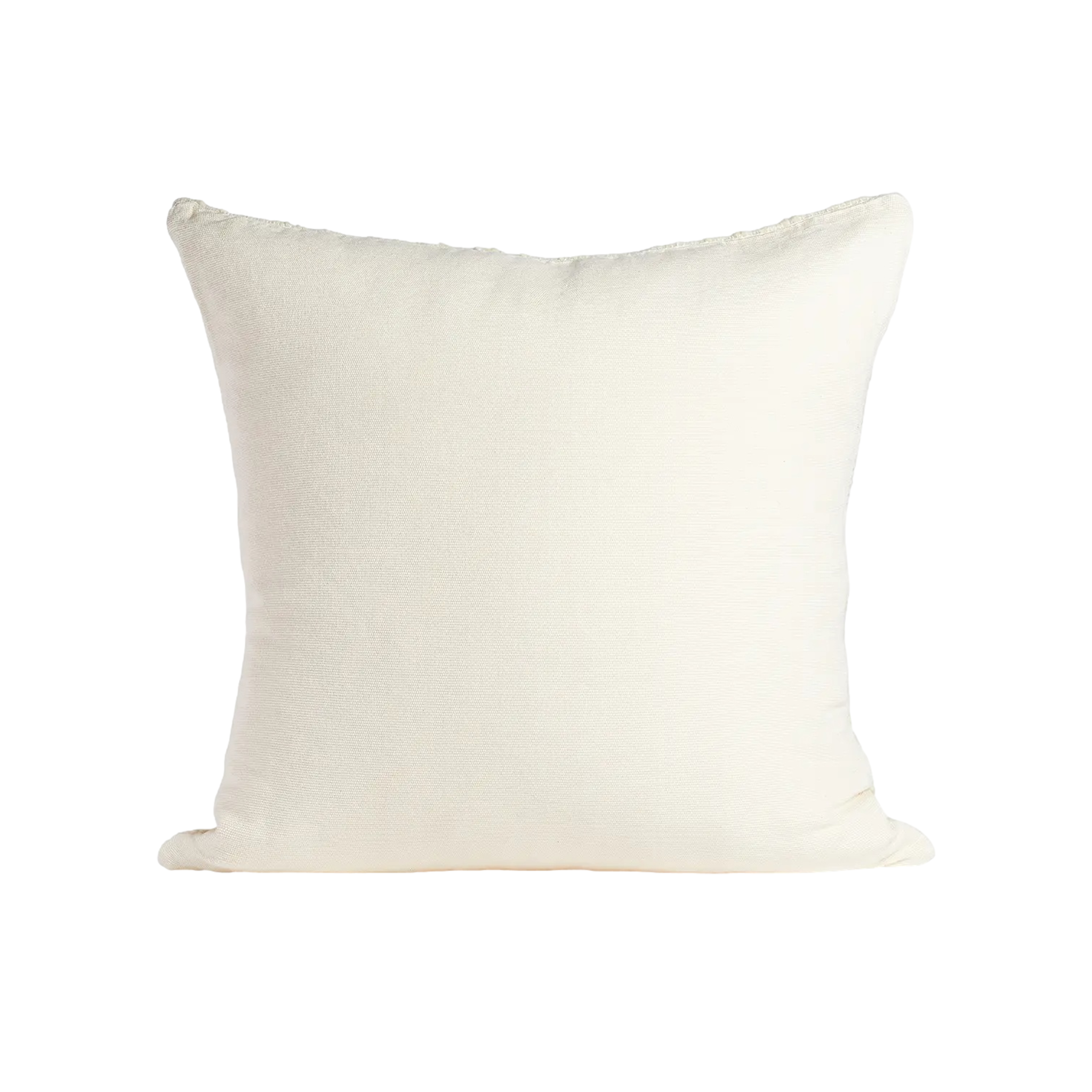 Medellin Throw Pillow