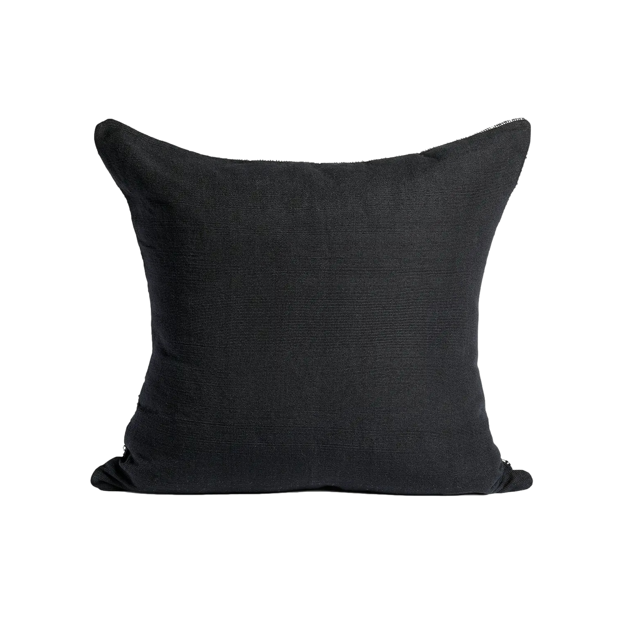 Medellin Throw Pillow in Black
