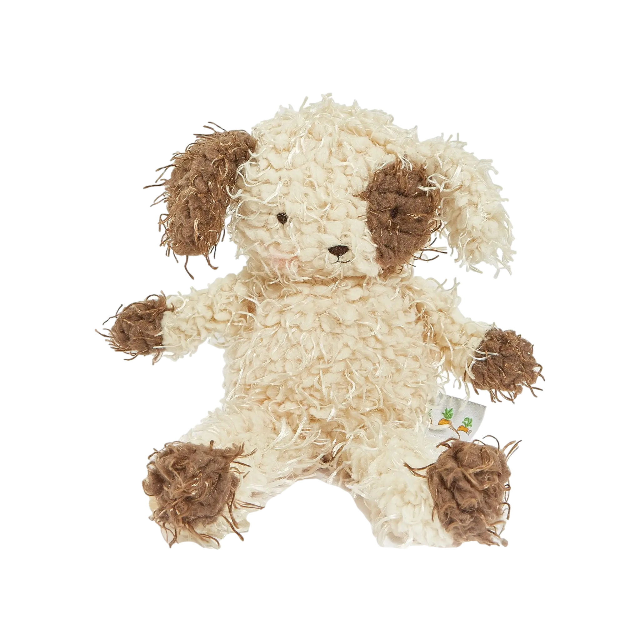 Shaggy Fetch Puppy