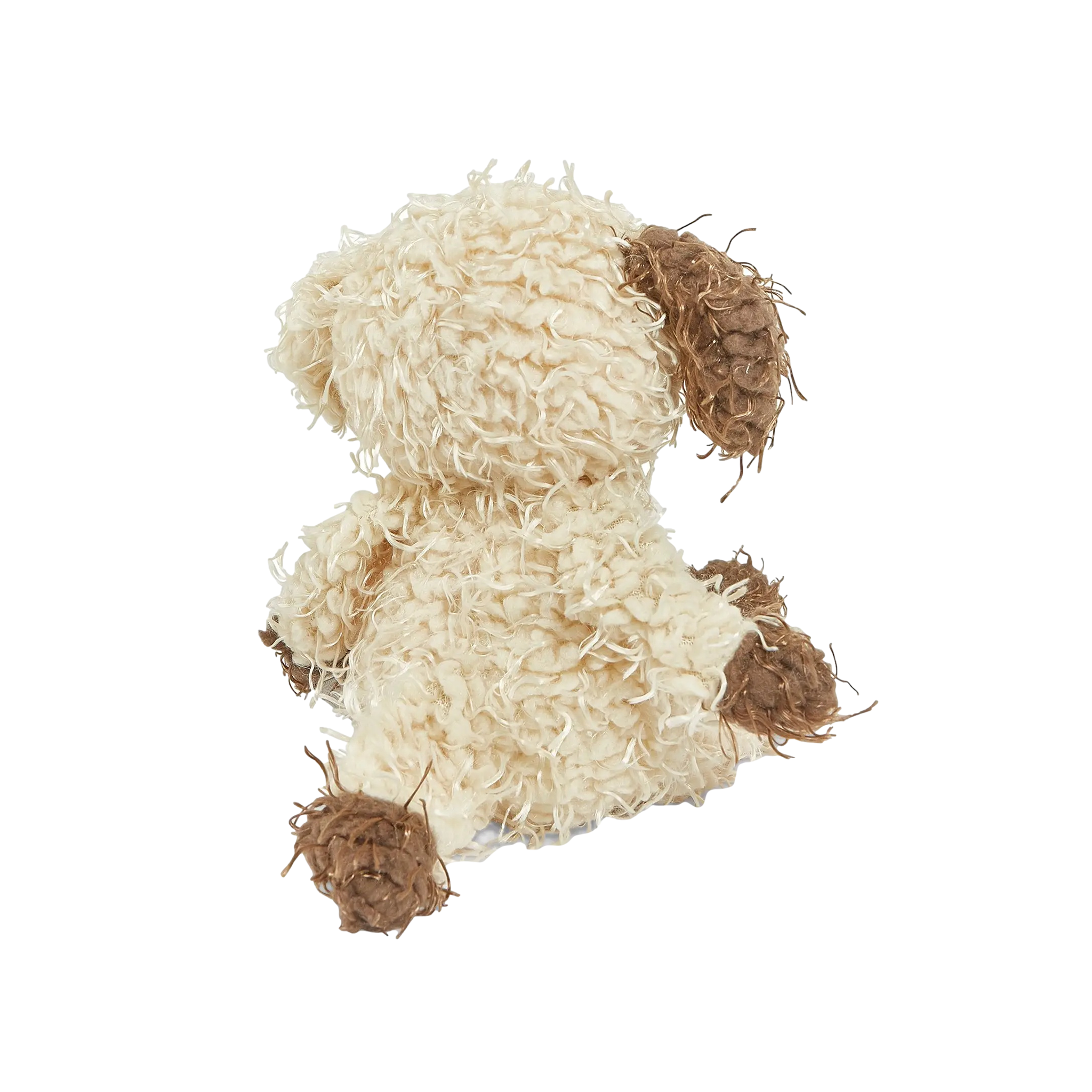 Shaggy Fetch Puppy