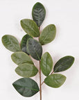 30353- 31in Sweetbay Magnolia Leaves Spray